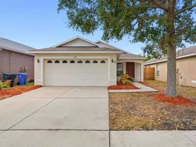 927 Windton Oak Dr, Ruskin, FL, 33570