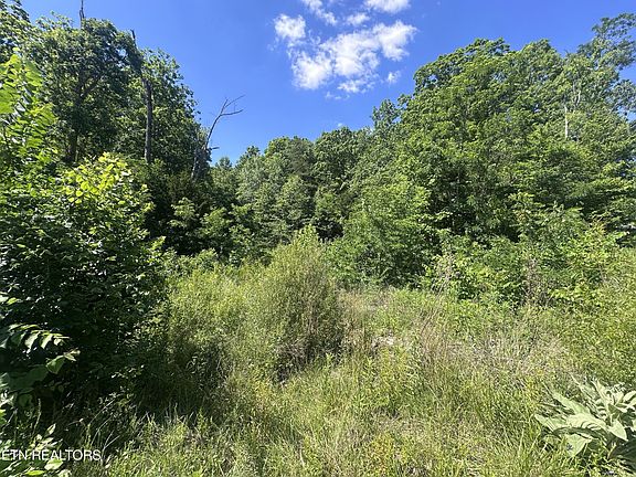 4th image of 1020 Tomahawk Rd Lot 37