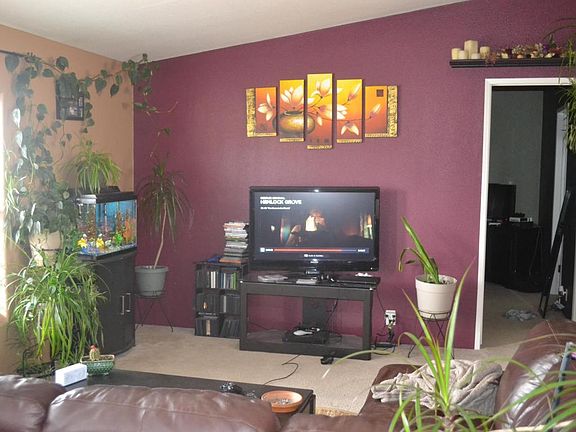 3rd image of 521 E Aspen Dr