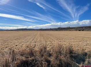 LOT 1 Orange Rd, Montrose, CO 81403