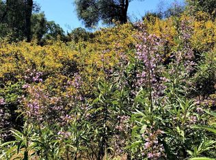 4590 Thunder Ln, Shingle Springs, CA 95682