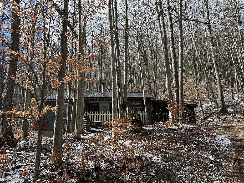 1691 Fall Creek Rd, Canisteo, NY 14823 | Zillow