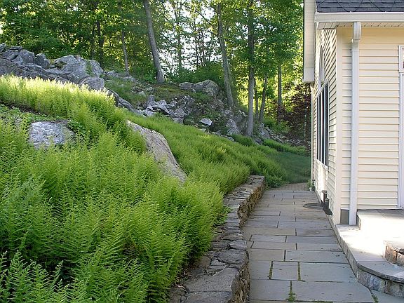 Bluestone walkway from patio