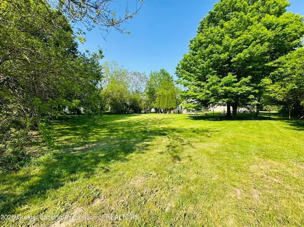 0 S Nelson St, Potterville, MI 48876