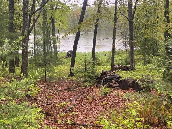 1530 Springwood Dr, Harrison, MI 48625