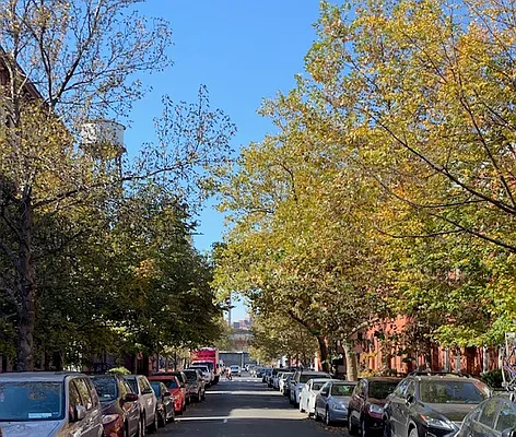 Rented by Terra Magia Inc | media 61