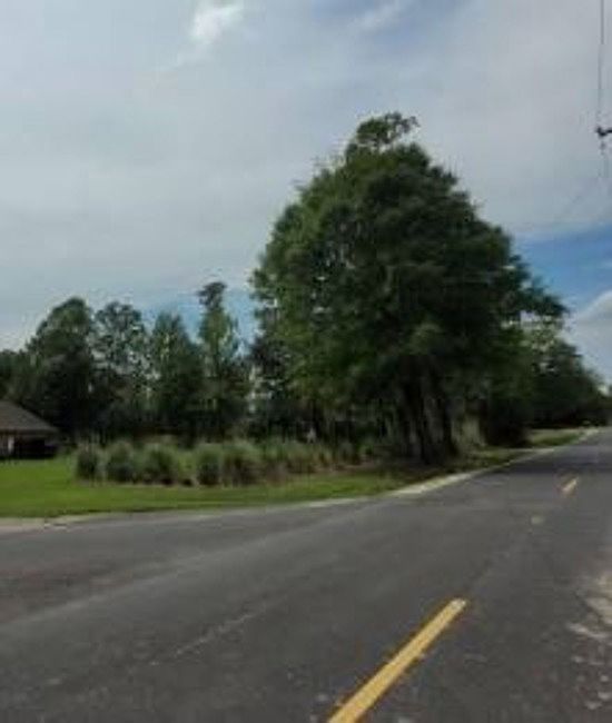 Exterior Neighborhood (street photo)