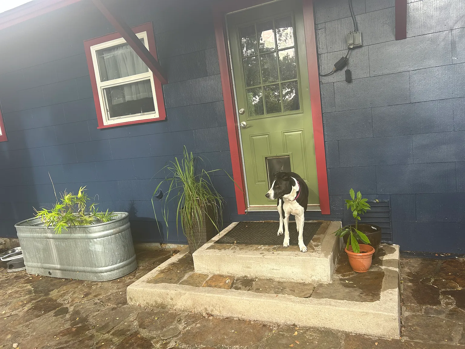 2 bed, 936 sqft, $2,800 — Photo 3