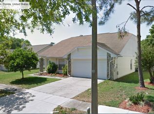 2007 Branch Tree Ln, Brandon, FL 33511