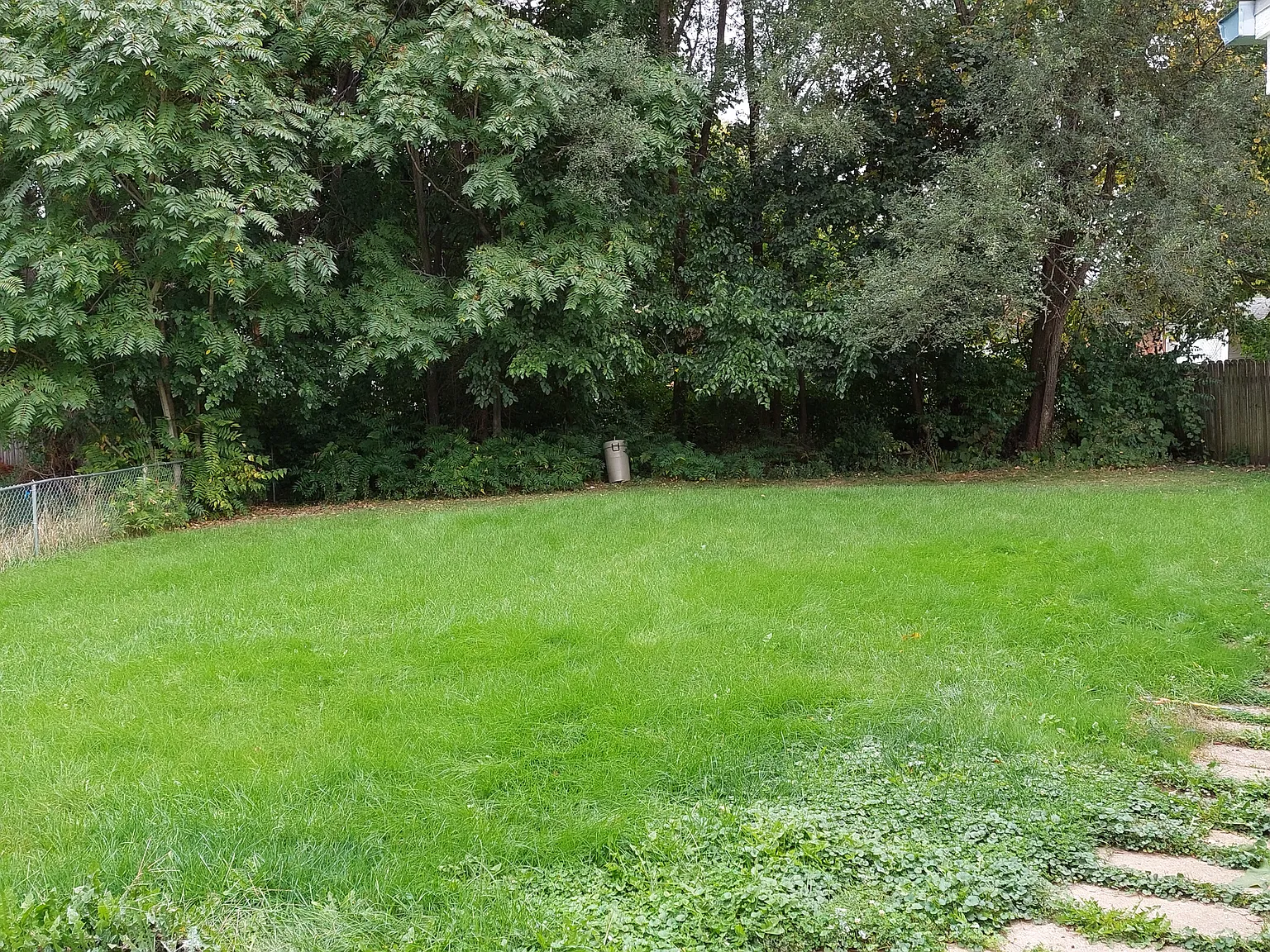 3 bed, 960 sqft, $1,350 — Photo 3