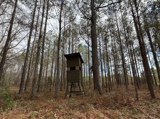 0 County Road 69, Banks, AL 36005