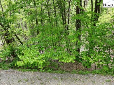 206 Wild Daisy Lane, Banner Elk, NC, 28604