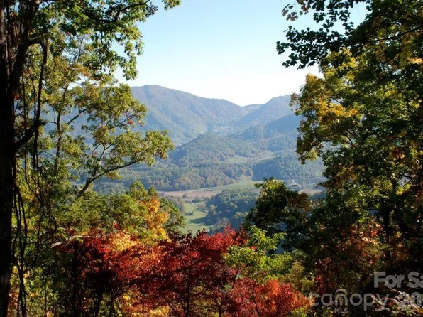 99999 Davidson Gap Rd #79, Leicester, NC 28748