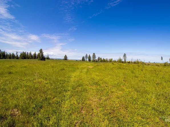 Green Rd, Orofino, ID 83544
