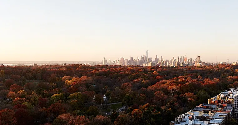 Rented by Lisa Management | media 16