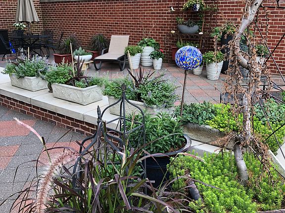 1102 square foot patio