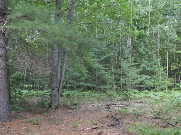 8430 Grass Lake Rd NE, Kalkaska, MI 49646
