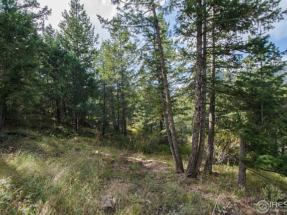 5th image of 922 Estes Park Estates Dr