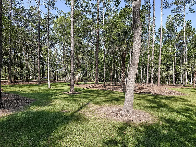 Grand Cypress — Photo 45