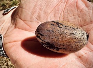 2218 W Kaufman St, Paris, TX 75460