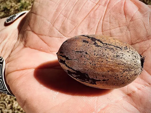 2218 W Kaufman St, Paris, TX 75460