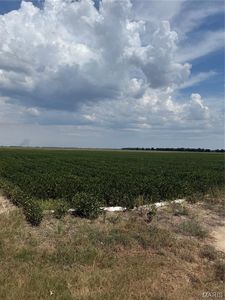 0 Road 108, Campbell, MO, 63933
