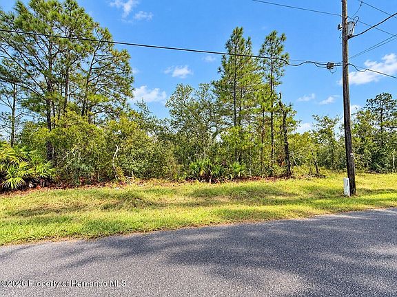 4th image of 13052 Jaywalk Rd