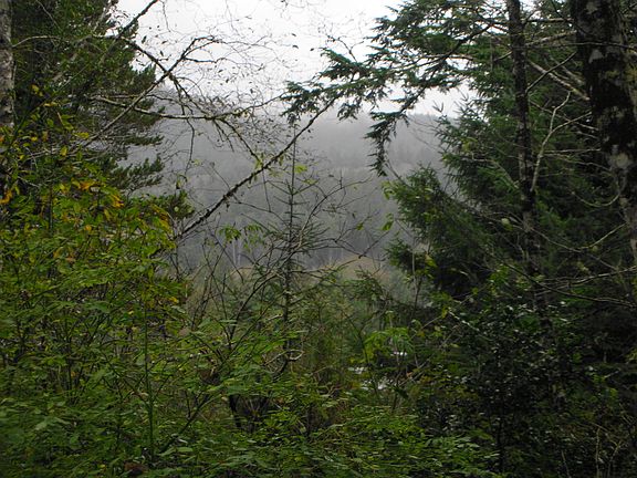 3rd image of College Avenue