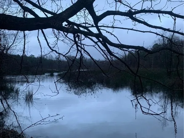 0 Highway 18 W, Vernon, AL 35592