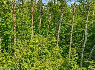Vl McKee Rd, Johannesburg, MI 49751
