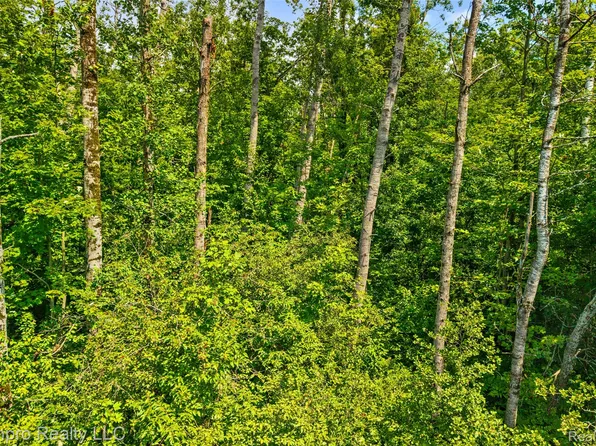Vl McKee Rd, Johannesburg, MI 49751