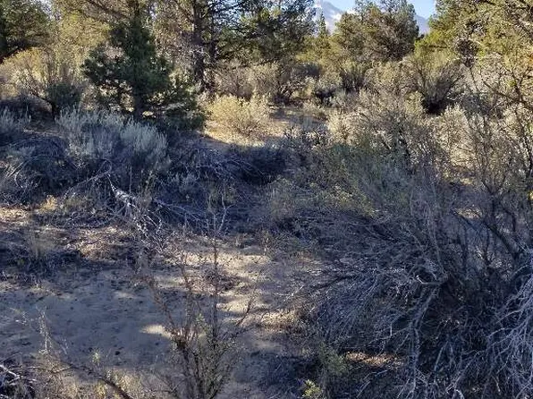 LOT 11 Paradise Ln, Montague, CA 96064