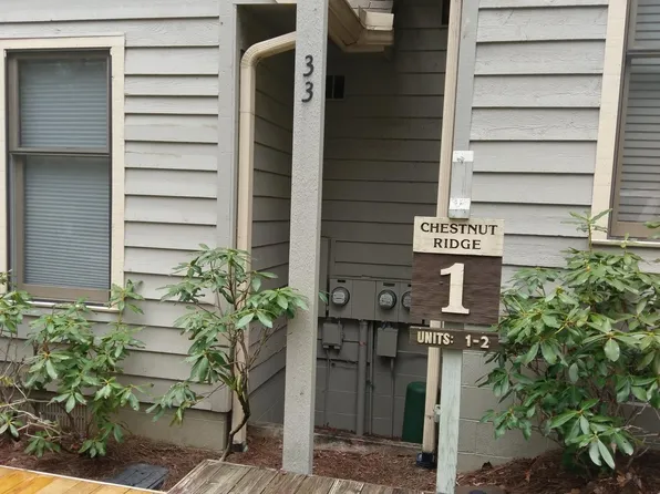 33 Chestnut Ridge Rd, Sapphire, NC 28774