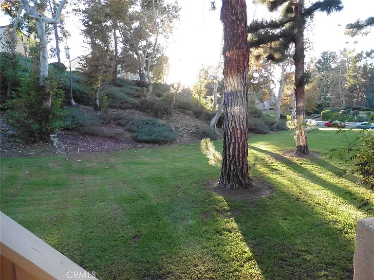 26541 Azuer — Photo 2