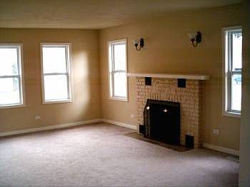 Wood burning fireplace