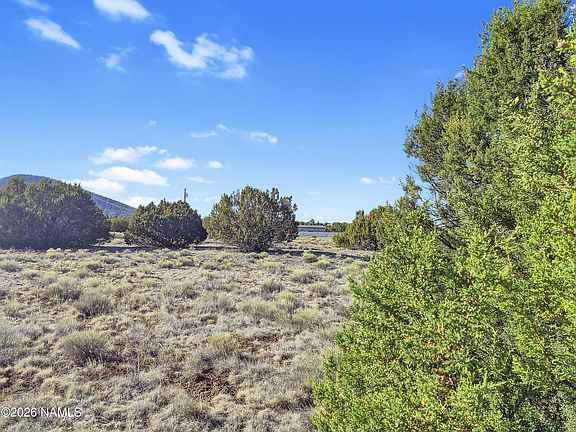 5th image of 908 E Hoctor Rd