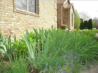 2nd image of 3824 Pershing Dr