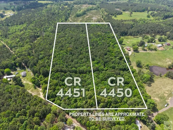 County Road 4450, Bivins, TX 75555
