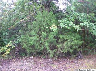 Willmon Rd, Scottsboro, AL 35769