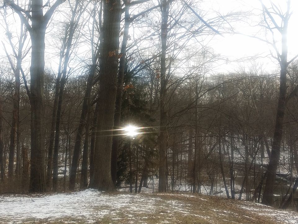 2nd image of 25455 Ingleside Dr