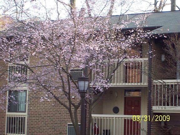 Exterior -- Top floor condo