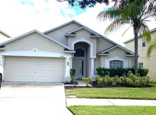 10732 Shady Preserve Dr, Riverview, FL 33579