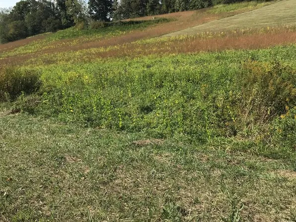 LOT 29 Chestnutwood Dr, Chilhowie, VA 24319