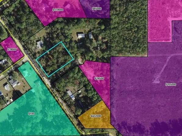 Big White Oak Ln, Crawfordville, FL 32327