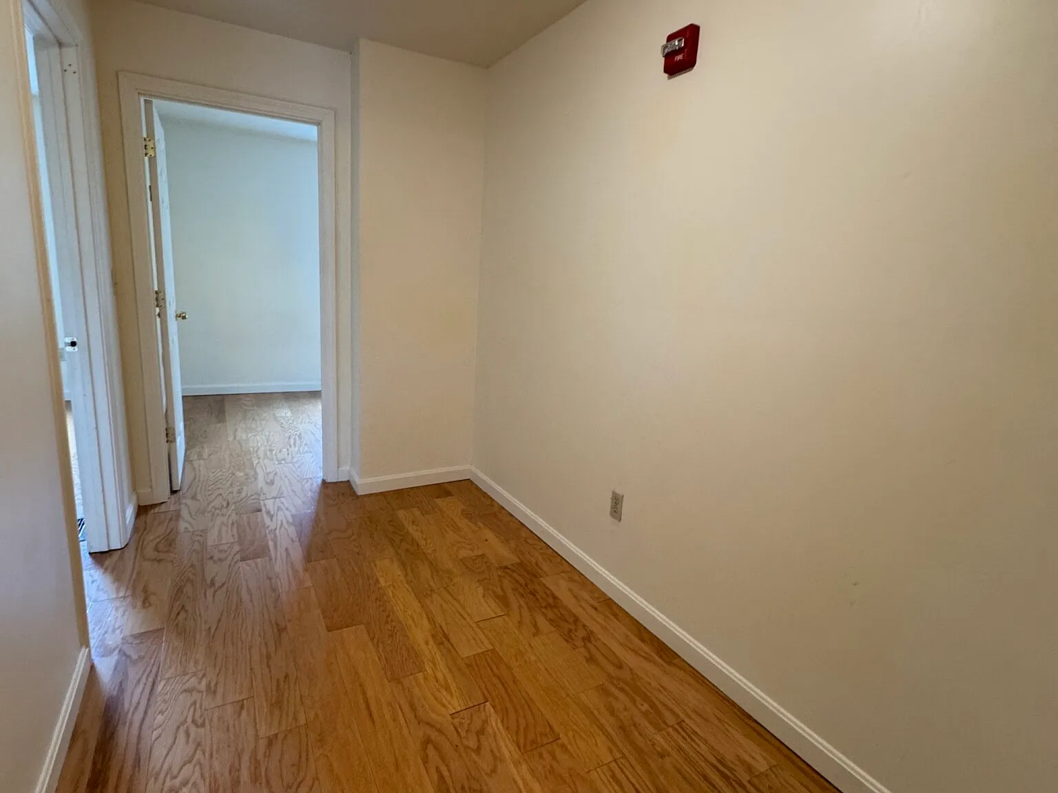 5 bed, 2.5 bath, $5,300 — Photo 4