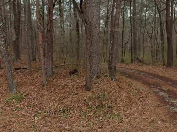 7420 Dewey Goodwin Rd #0, Pinson, AL 35126