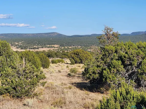 Mangas Rd, Datil, NM 87821