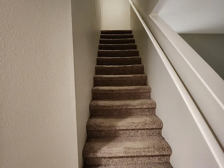 Carpeted interior staircase with sturdy handrail and overhead lighting for easy access between floors.