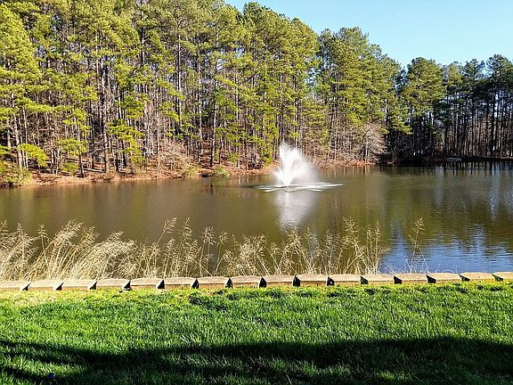 Backyard, Water View
