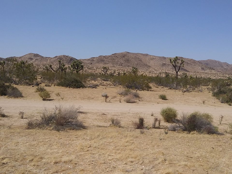 2nd image of 60311 Chollita Rd